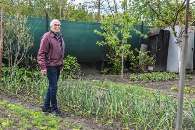 Grzegorz Sobański na swoim ogródku uprawia mnóstwo warzyw i owoców