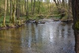 Miastko dawniej i dziś - wystawa w Bad Fallingbostel. Wyślij swoje zdjęcia (FOTO)