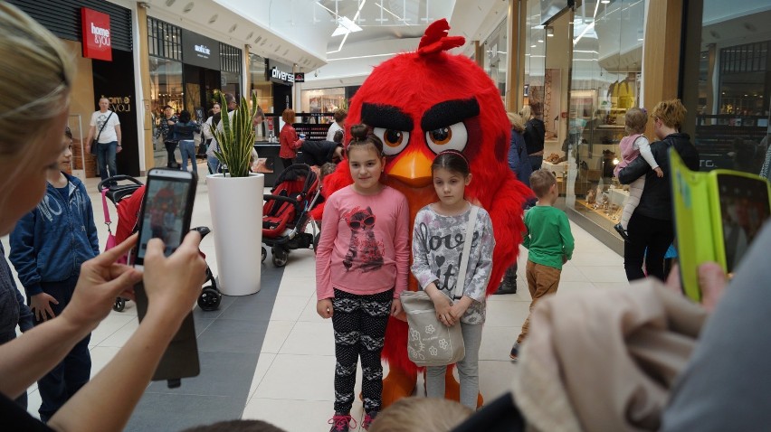 Angry Birds Tour, czyli spotkanie z bohaterami filmu w Bydgoszczy [zdjęcia, wideo] 