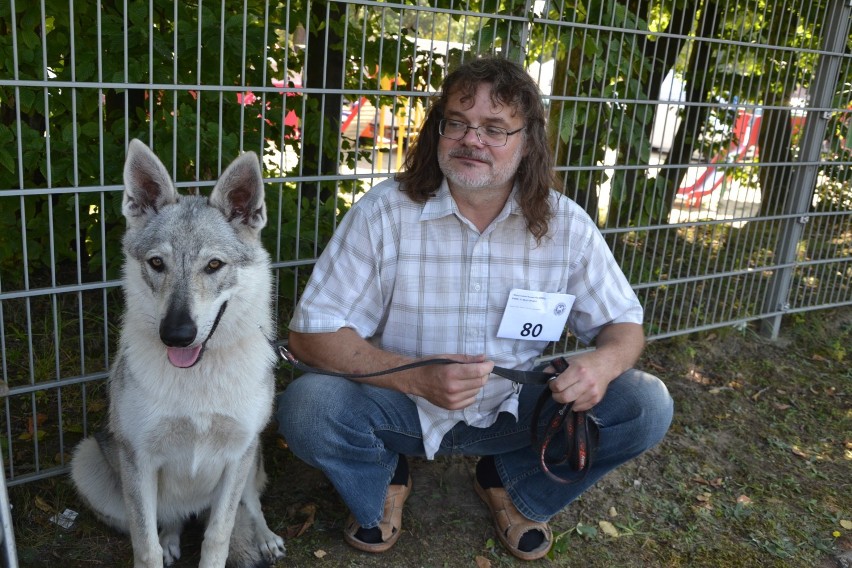 Tysiące psów na I Międzynarodowej Wystawie Psów Rasowych w Rybniku-Kamieniu