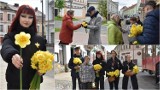 Uczniowie "Ogrodnika" i wolontariusze Fundacji AntySchematy 2 rozdawali przechodniom kwiaty. Tak wyglądała "Akcja Żonkile 2024" w Tarnowie