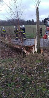Wichura w powiecie puckim (luty 2020). Silny wiatr łamał drzewa na trasach Kłanino - Połchówko i Tyłowo - Kartoszyno | ZDJĘCIA
