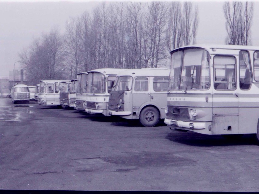 Nowe autobusy w Rybniku, a kto pamięta stare ikarusy i ogórki?