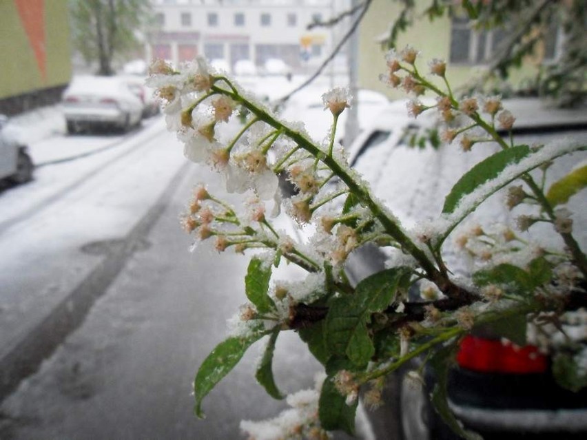 Zima w maju, problemy na drogach (zdjęcia i film)