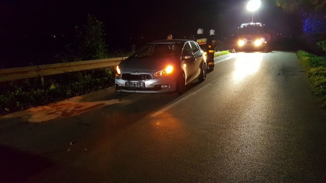 Zderzenie samochodu osobowego z dzikiem między Wolborzem a Świątnikami