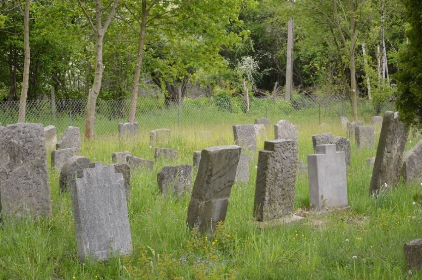 Sto lat temu powstał cmentarz żydowski przy ulicy Granicznej [ZDJĘCIA]