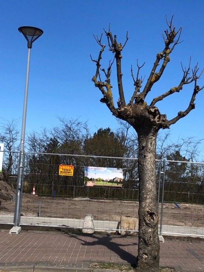 Weekend nad morzem. Zobacz, jak wyglądają Międzyzdroje w czasie koronawirusa