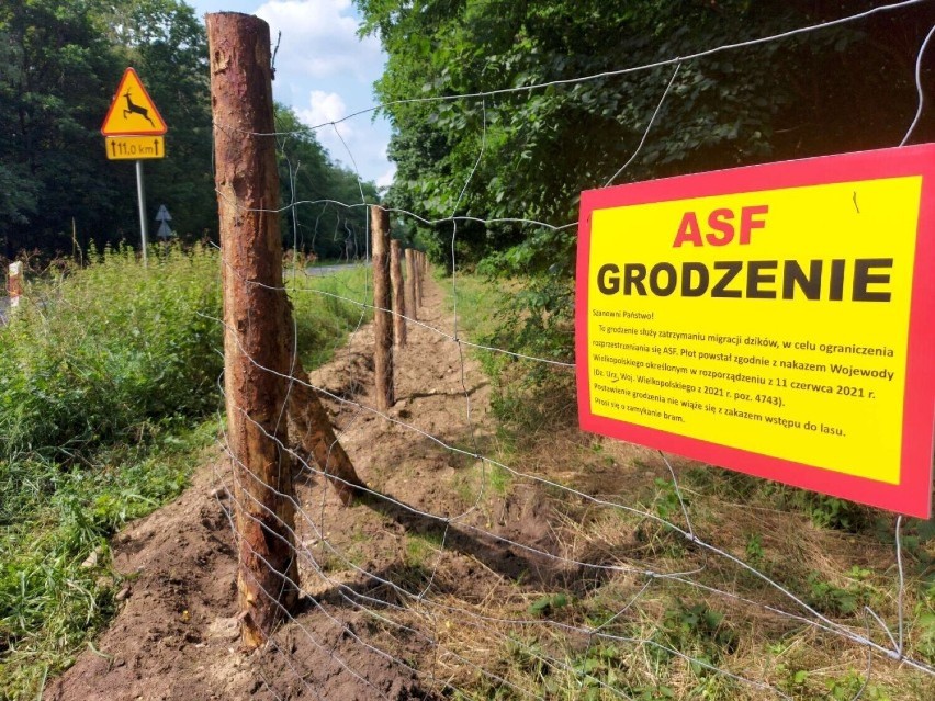 Płot, który stanie na granicy Małopolski i Podkarpacia...