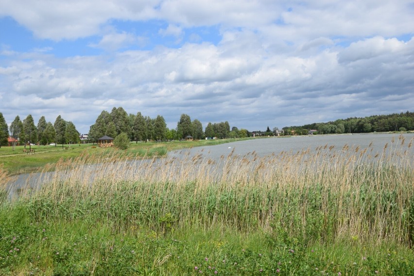 "Ogródek w kołoBRZEGU". Coś nowego nad Kępiną w Zduńskiej Woli