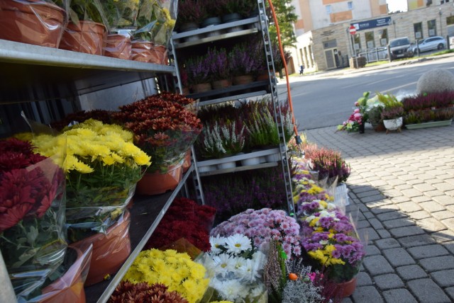 Wśród tegorocznych ozdób na groby można znaleźć droższe i tańsze propozycje. Kliknij w przycisk "zobacz galerię" i przesuwaj zdjęcia w prawo - naciśnij strzałkę lub przycisk NASTĘPNE