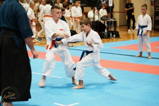 Zielonogórscy karatecy z ABiRO zdobyli we Wrocławiu 21 medali.