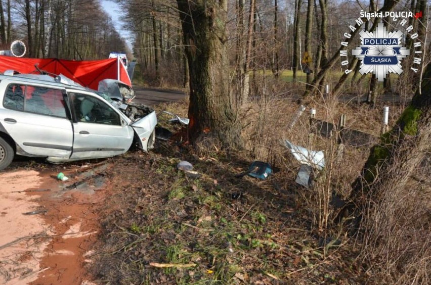 Śmiertelny wypadek pod Myszkowem. Kierowca renault wjechał w drzewo w Jaworzniku, zginął na miejscu