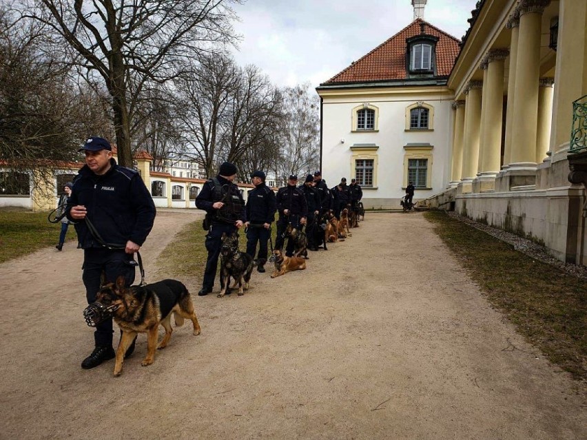 Psy policyjne na szkoleniu w ogrodzie Pałacu Branickich [zdjęcia]