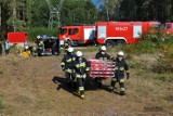 Dąbrowa Górnicza: wypadek samochodowy i pożar lasu. Jak poradzili sobie strażacy OSP?