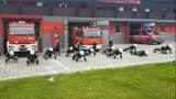 Dobrzyca. Strażacy podjęli wyzwanie #GaszynChallenge i robiąc pompki oraz wpłacając datki wsparli chorego Wojtusia