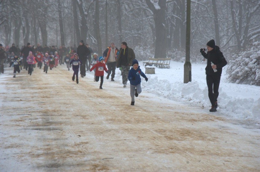 Bieg Wedla 2013 w Parku Skaryszewskim - zdjęcia uczestników