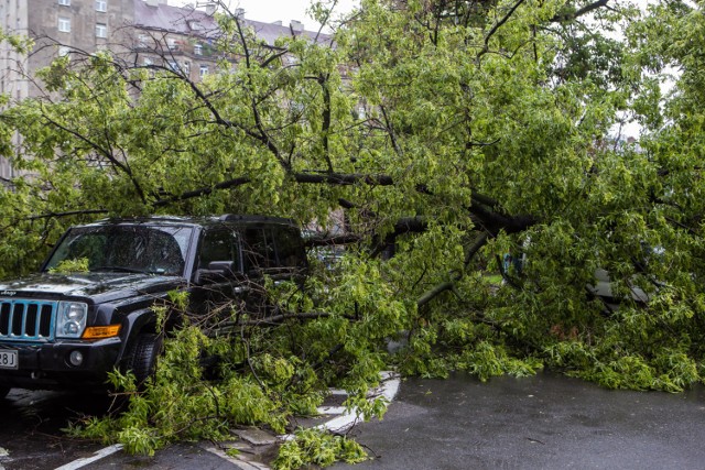 Pogoda na Dolnym Śląsku 10 lipca będzie gwałtowna. Nie parkujcie aut pod drzewami, podczas burzy nie szukajcie pod nimi schronienia.