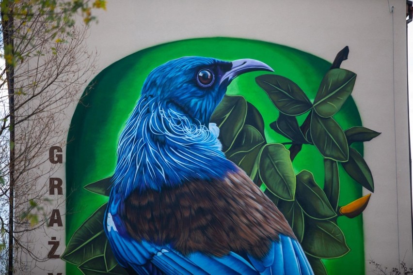 Ale piękny mural! Egzotyczny ptak pojawił się na ścianie bielskiego bloku