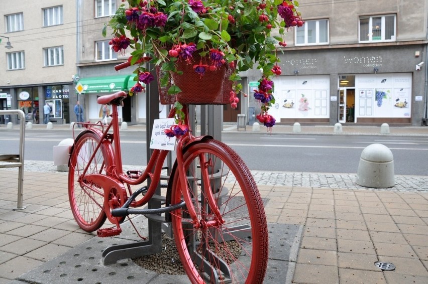 Gdynia: Gdyńskie rowery zostały pomalowane w ramach projektu SEGMENT. Zachęcą mieszkańców? ZDJĘCIA