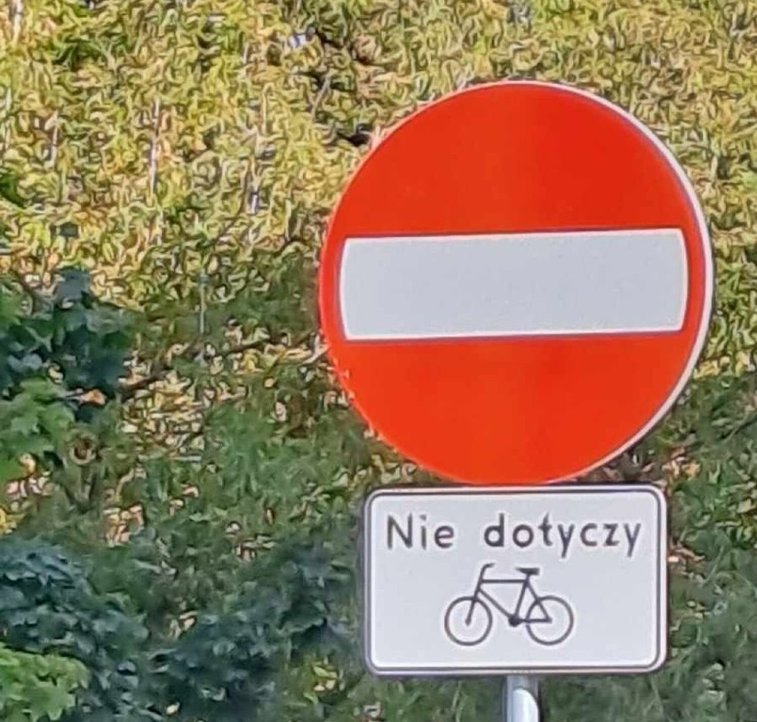 Mimo zakazu wjazdu w taką ulicę rowerzysta może wjechać