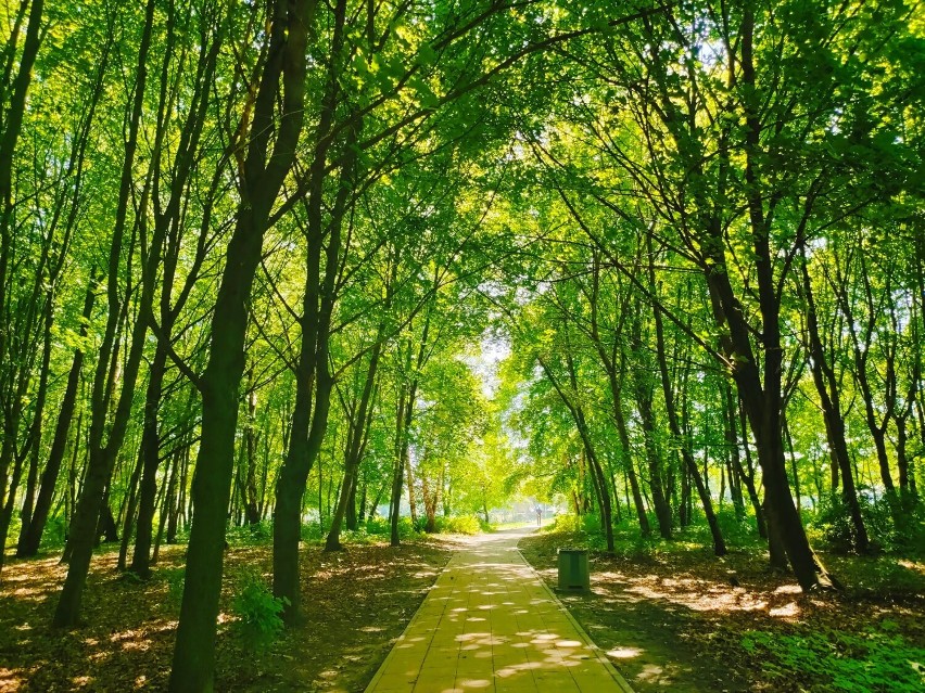 Plaża w Czechowicach poleca się na letni wypoczynek. Kiedy oficjalne otwarcie sezonu? Zobacz ZDJĘCIA