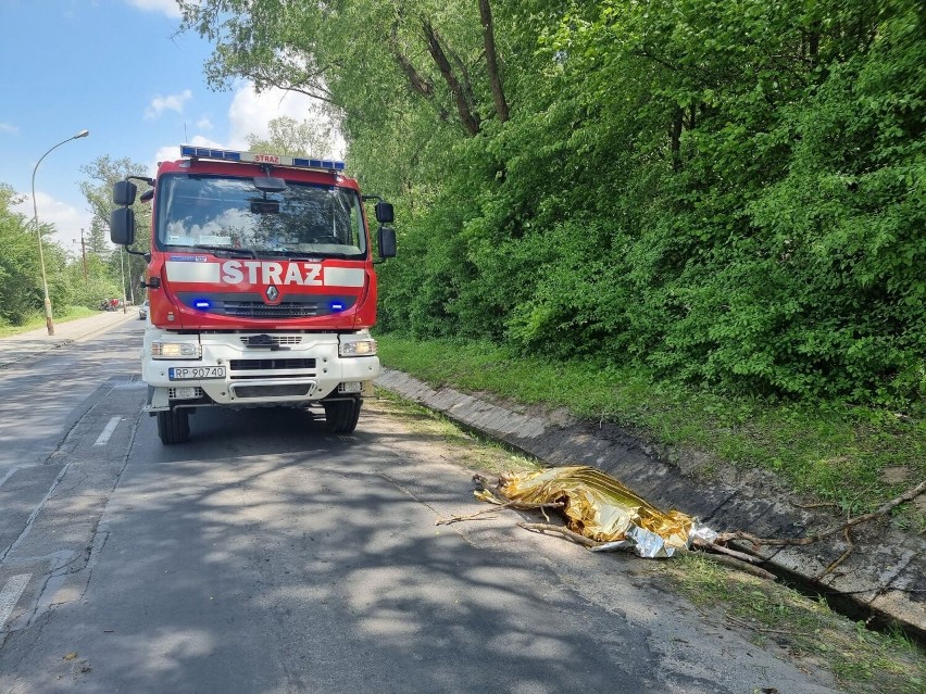 Na ul. Sanockiej w Przemyślu kierujący audi zderzył się z łanią. Weterynarz walczył o życie zwierzęcia [ZDJĘCIA]