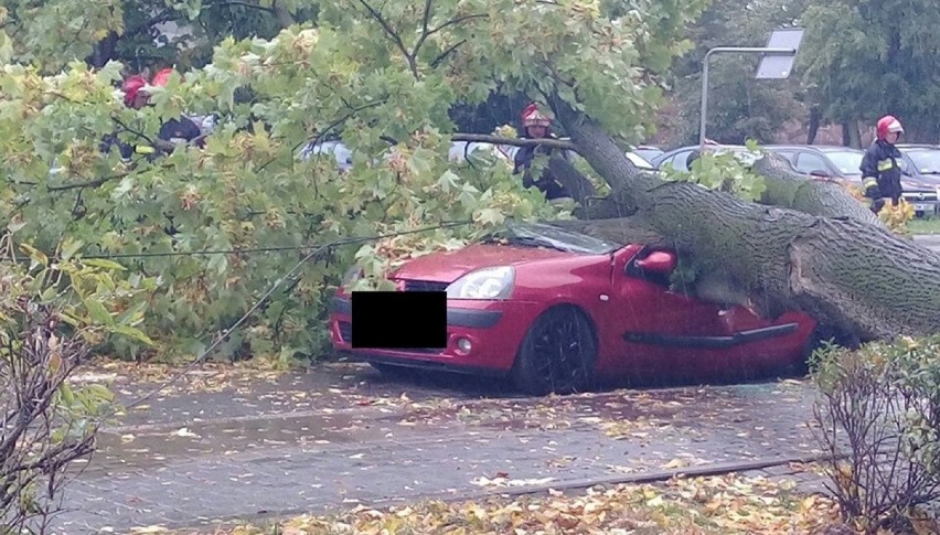 Drzewo spadło na samochód  na ul. Muzealnej w Nowej Soli