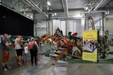 Łódź Dino Expo. 35 dinozaurów w Hali Expo. Zobaczcie zdjęcia!