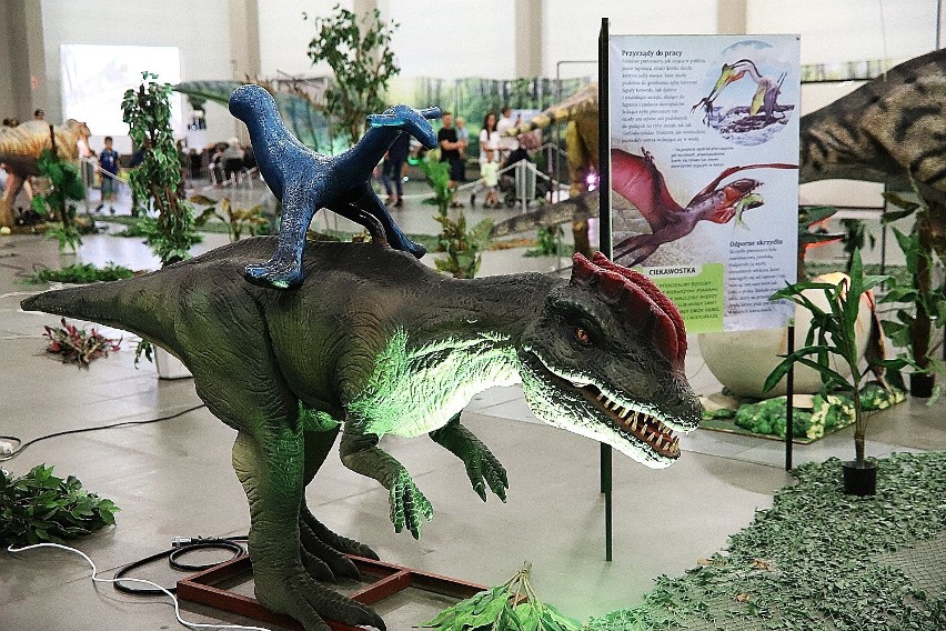 Łódź Dino Expo. 35 dinozaurów w Hali Expo. Zobaczcie zdjęcia!