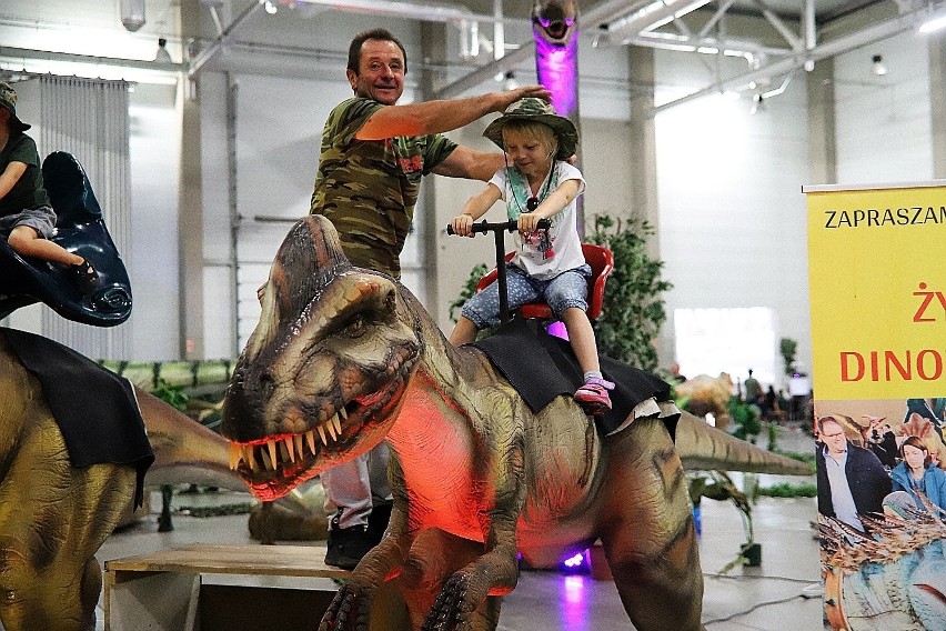 Łódź Dino Expo. 35 dinozaurów w Hali Expo. Zobaczcie zdjęcia!