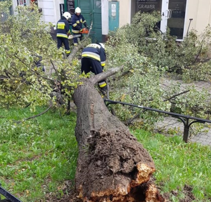 Śląskie: Silny wiatr w województwie. Uszkodzone dachy, zalania, powalone drzewa. Strażacy mają pełne ręce roboty