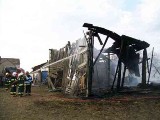 Pożar w Orchowie. Płonął budynek z końmi [ZDJĘCIA]