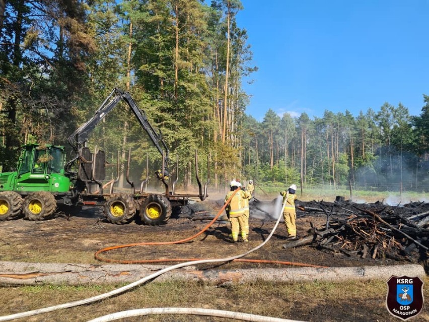 Samolot gaśniczy Dromader gasił pożar na terenach leśnych 