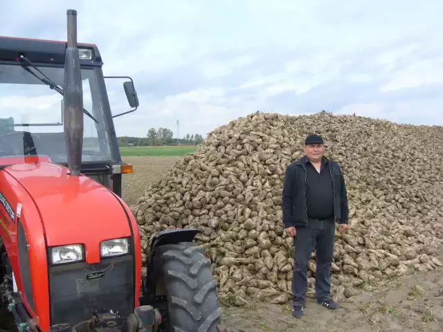 Plony u Piotra Bujały sięgnęły w tym roku 70 ton buraków z hektara