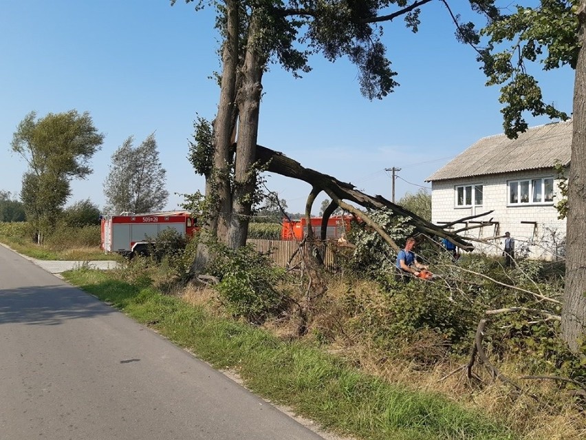 Potężna nawałnica przeszła w nocy z 28 na 29 sierpnia