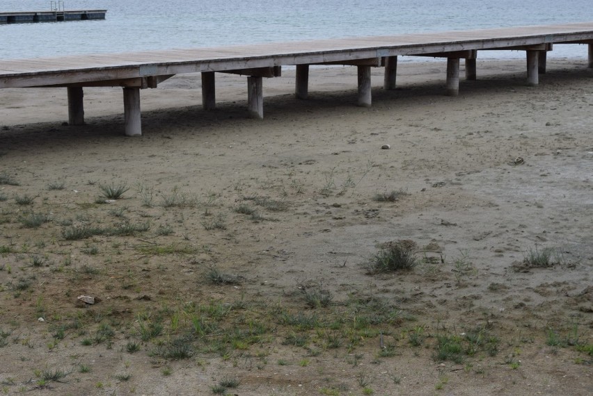 Czy Jezioro Powidzkie wysycha? Plaże cofnęły się nawet o kilka metrów! [FOTO]