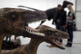 Gdy żyły dinozaury - wystawa