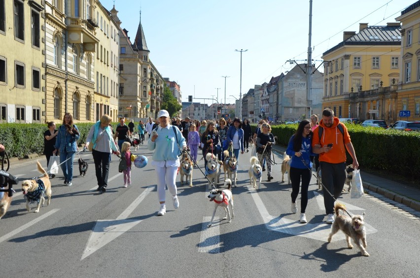 Mieszkańcy Wrocławia licznie przybyli na IV Paradę Psów...