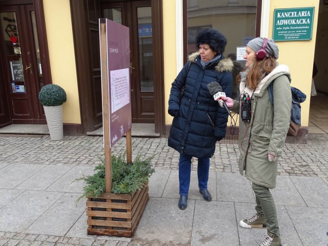 Walentynkowa wystawa  zainstalowana na ulicy Grudziądzkiej w Chełmnie
