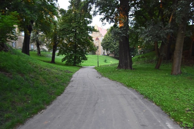 Obejmujący obszar od pomnika Kolumny Złotych Godów do muru obronnego, miejsca na którym stał dom parterowy nr. 10, tzw. ”domek na murze”. Obszar położony na działkach, oznaczonych w MPZP, obręb Oleśnica, numer dz. 87/5 i dz. 105.

Skrócony opis
Utworzenie nowego skweru, położonego w ścisłym centrum, pomiędzy największymi zabytkami miasta. Wykonanie projektu, przeprowadzenie nasadzeń wysokich drzew szlachetnych (dęby, buki), pod nimi kompozycji roślin ozdobnych (rododendrony, azalie, funkie, trawy itd.). Częściowa wymiana podłoża, zabezpieczenie roślin korą, obrzeżami i innymi elementami. Wymiana małej architektury ławeczek, piaskownicy.

Koszt po weryfikacji 150 000 zł