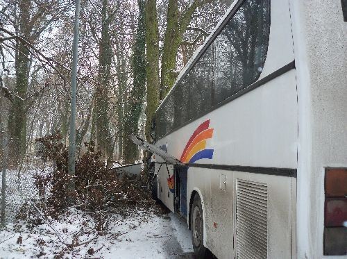 Autobus rozbił się na drzewie [ZDJĘCIA]
