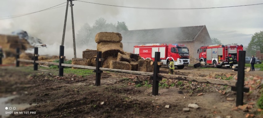 "Styrta się pali!" Pożar snopków słomy blisko zabudowań stadniny w miejscowości Krąpiel. Zagrożony był sąsiedni budynek