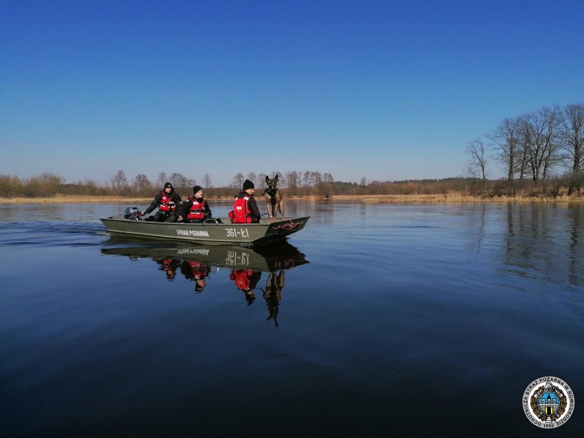 Kolejne poszukiwania na rzece Narew. W akcji brały udział psy z Olsztyna [zdjęcia]