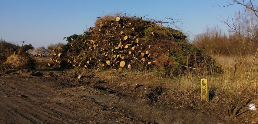 Burzą domy na trasie S14 w Zgierzu. Wkrótce rusza budowa ekspresówki. [Zdjęcia]