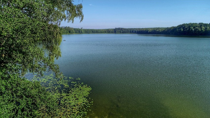 Jezioro Gołębie, perełka niedaleko Gorzowa