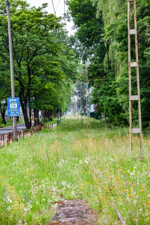 Wyłączone z ruchu torowisko