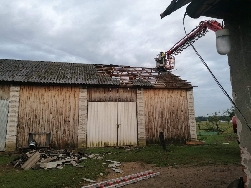 Po wichurze zniszczenia w powiecie opoczyńskim. Strażacy usuwali skutki wczorajszej burzy kilka godzin [ZDJĘCIA]