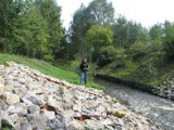 KRÓTKO: Rekultywacja doliny rzeki Szarlejki w Radzionkowie na finiszu