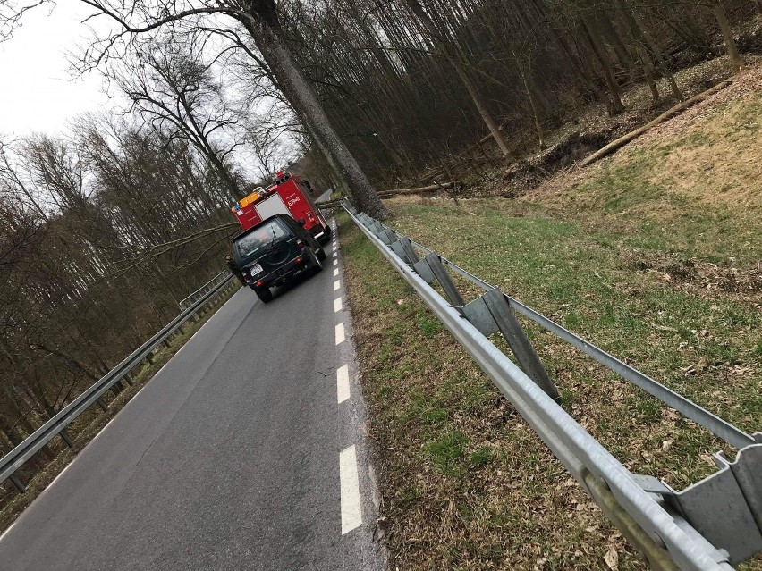 Silny wiatr daje się we znaki. Strażacy interweniowali w dwóch miejscowościach 