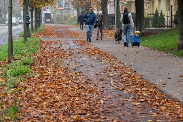 Fragment ścieżki rowerowej na ul. Chodkiewicza w Bydgoszczy.